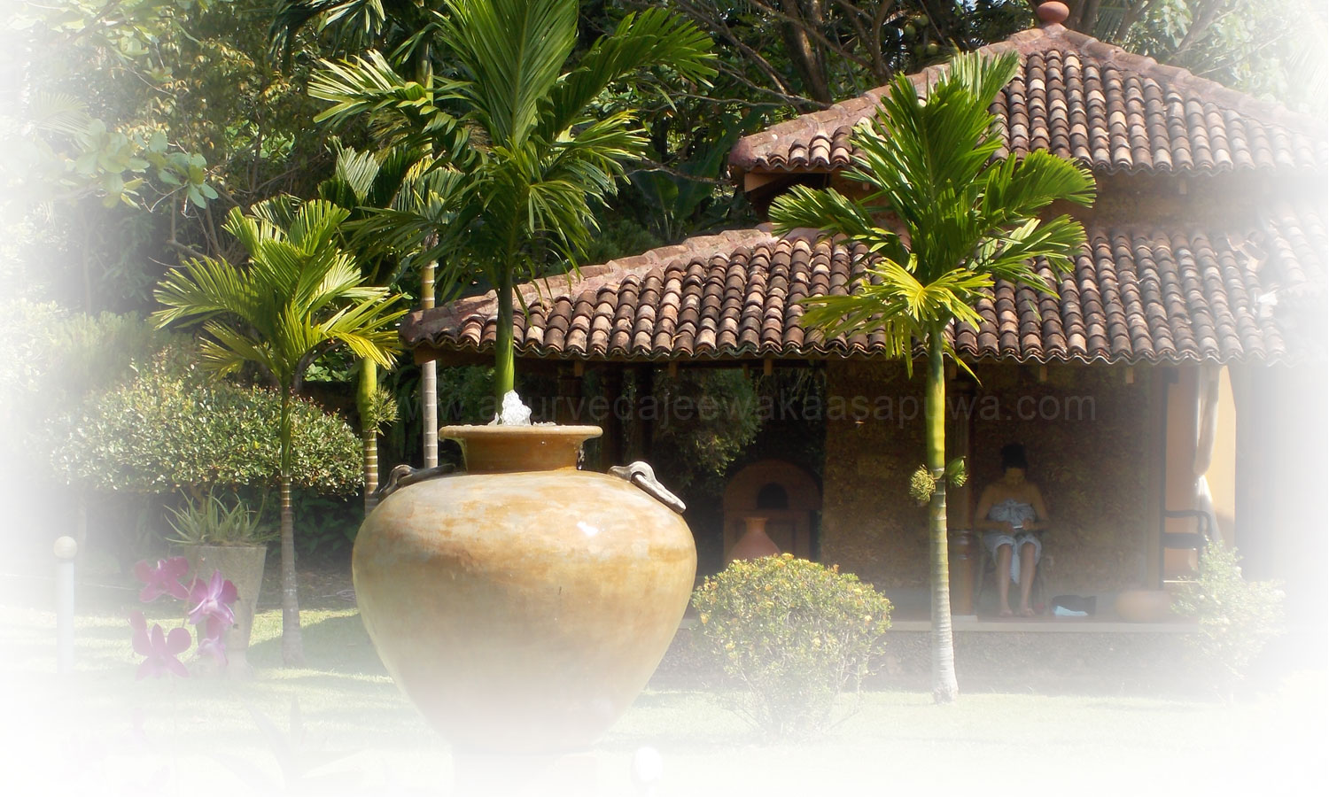 ayurveda treanments in Sri Lanka, ayurveda behandelingen in srilanka