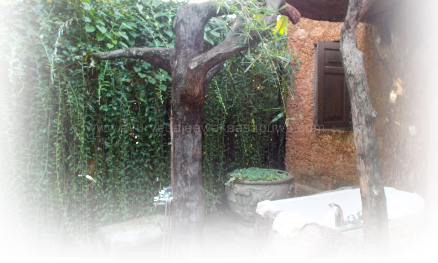 ayurveda treanments in Sri Lanka, ayurveda behandelingen in srilanka